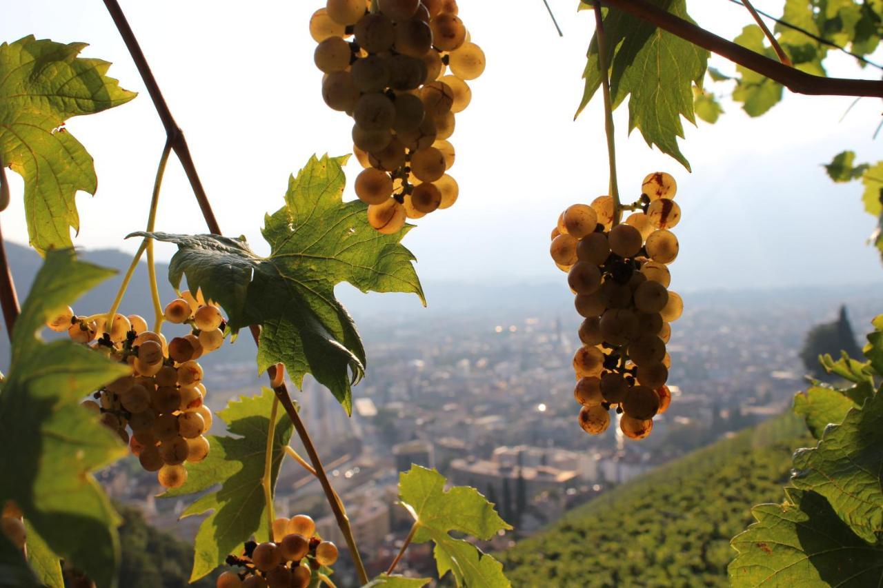 Апартаменти Weingut Eberlehof Больцано Екстер'єр фото