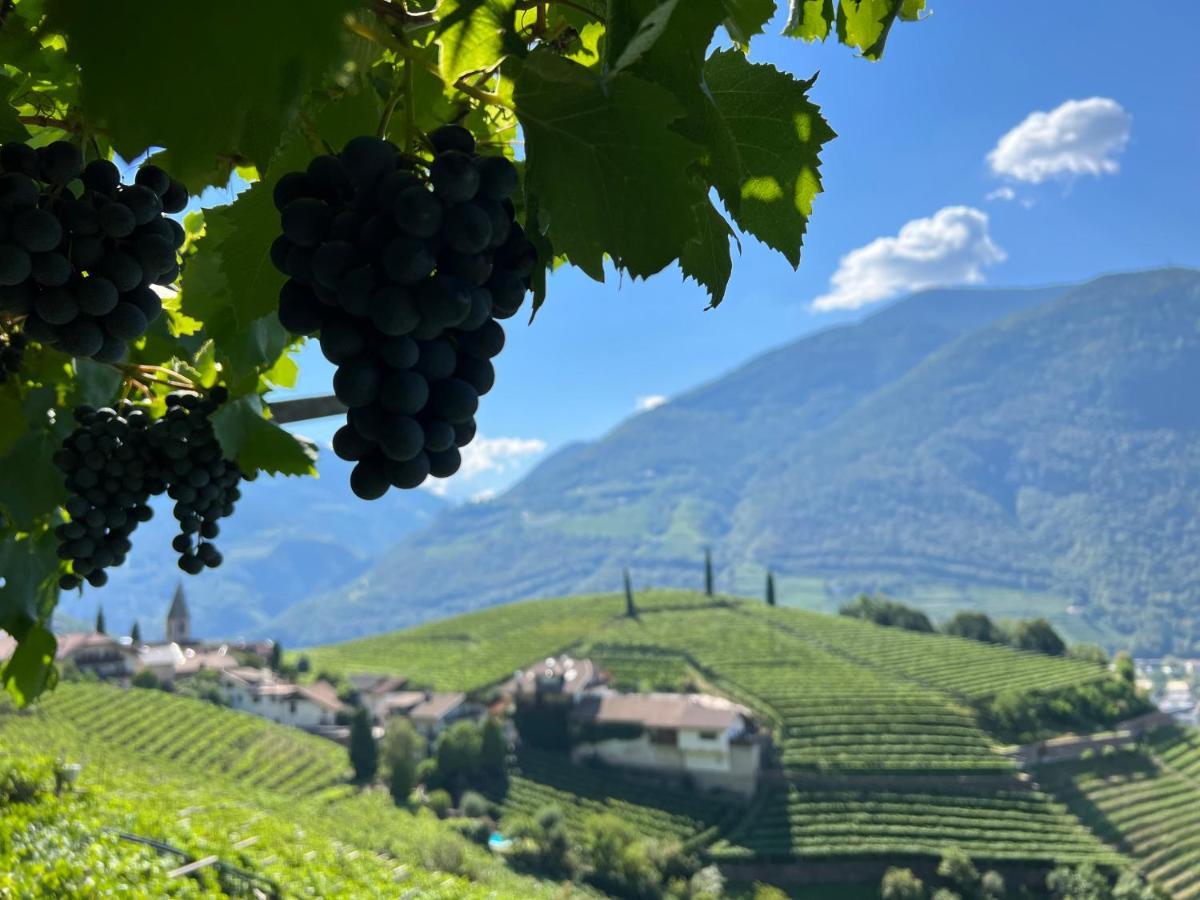 Апартаменти Weingut Eberlehof Больцано Екстер'єр фото