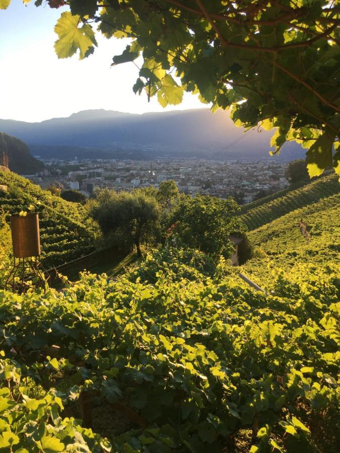 Апартаменти Weingut Eberlehof Больцано Екстер'єр фото